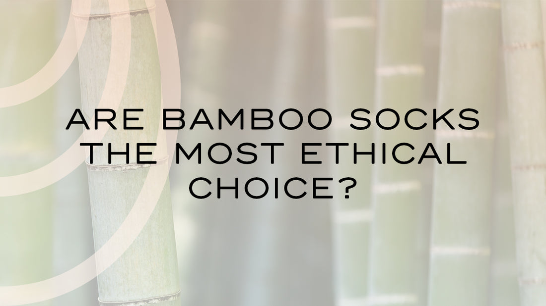 Are bamboo socks the most ethical choice?